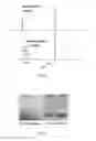 Fig. 03 - COMPOSITIONS AND METHODS FOR INCREASING PROTEIN HALF-LIFE