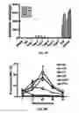 Fig. 07 - Adenovirus vectors