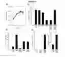 Fig. 09 - Interferon-β production modulating listeria strains and methods for using same