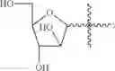 Fig. 07 - Saponin nano micelle, preparing method, application and pharmaceutical composition thereof