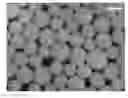 Fig. 01 - Biodegradable microbead comprising anionic polymer for improving adsorptive power to anticancer drugs, and method for preparing same