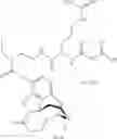 Fig. 232 - Compositions comprising enzyme-cleavable opioid prodrugs and inhibitors thereof