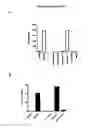 Fig. 08 - Agents and Methods