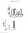 Fig. 10 - Agents and Methods