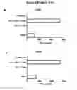 Fig. 13 - Agents and Methods