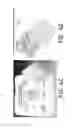 Fig. 06 - Composition, preparation, and use of chitosan shards for biomedical applications