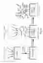 Fig. 09 - Wound Healing Material And Application Thereof