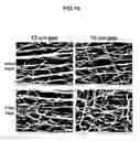 Fig. 10 - Multilayer Fibrous Polymer Scaffolds, Methods of Production and Methods of Use