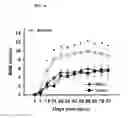 Fig. 07 - Methods and compositions for the treatment of open and closed wound spinal cord injuries