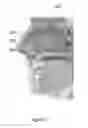 Fig. 04 - Nasal delivery device