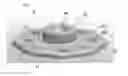 Fig. 01 - PERCUTANEOUS TUBE STABILIZATION DEVICE