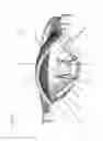 Fig. 08 - Concealed sprinkler activation