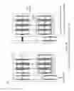 Fig. 40 - Elastic resistant training apparatus and methods