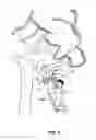 Fig. 07 - Full body exercise apparatus