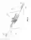 Fig. 10 - Compressible barbell adapter