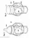 Fig. 05 - Mesh toy apparatus