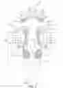 Fig. 02 - Article of apparel with dynamic padding system
