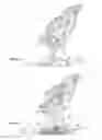 Fig. 03 - Heel retainer with auxiliary lever