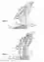 Fig. 04 - Heel retainer with auxiliary lever