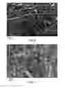 Fig. 06 - DRY FORMED FILTERS AND METHODS OF MAKING THE SAME