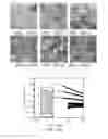 Fig. 19 - High flux high efficiency nanofiber membranes and methods of production thereof