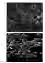 Fig. 01 - POLYMER RESIN COMPOSITION FOR PREPARING OF MICROFILTER MEMBRANE OR ULTRAFILTER MEMBRANE, PREPARATION METHOD OF POLYMER FILTER MEMBRANE, AND POLYMER FILTER MEMBRANE