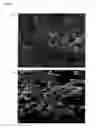 Fig. 02 - POLYMER RESIN COMPOSITION FOR PREPARING OF MICROFILTER MEMBRANE OR ULTRAFILTER MEMBRANE, PREPARATION METHOD OF POLYMER FILTER MEMBRANE, AND POLYMER FILTER MEMBRANE