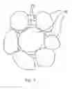 Fig. 07 - Method for producing a material mixture of powder or granular state material and liquid