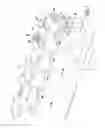 Fig. 02 - Kneading device fitted with a shaft retention device