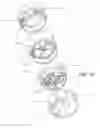Fig. 09 - Apparatus for herb grinding and related methods