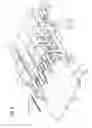 Fig. 03 - METHOD AND APPARATUS FOR SUPPORTING PRODUCT DURING CUTTING