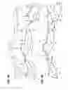 Fig. 06 - Vehicular lamp and light source unit