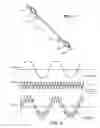 Fig. 03 - ACOUSTICAL AND RAIN CLEARING WINDOW ASSEMBLY FOR A VEHICLE