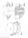 Fig. 02 - Adjustable body mount