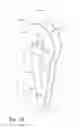 Fig. 02 - Flexible rope termination device