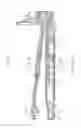 Fig. 07 - Image forming apparatus and sheet conveying device