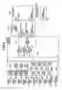 Fig. 06 - Image forming apparatus and image forming system
