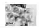 Fig. 05 - Titanium oxynitride having titanium deficiency-type halite structure