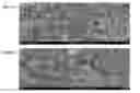 Fig. 01 - Method for controlling bulk density of carbon nanotube agglomerate