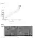 Fig. 06 - Method for controlling bulk density of carbon nanotube agglomerate