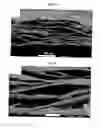 Fig. 07 - Composite film and method of forming the same