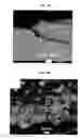 Fig. 08 - Composite film and method of forming the same