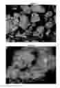 Fig. 07 - Boussingaultite production process from liquid effluents containing magnesium sulphate