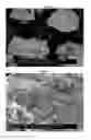 Fig. 08 - Boussingaultite production process from liquid effluents containing magnesium sulphate