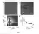 Fig. 09 - IONIC NANOCRYSTALLINE MATERIALS WITH HIGH SURFACE CHARGE DENSITY AND COMPOSITES OF THE SAME