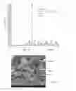 Fig. 08 - COMPOSITE MATERIAL HAVING AN ALUMINOSILICATE MATRIX, IN PARTICULAR MADE FROM BARIUM ALUMINOSILICATE (BAS) REINFORCED WITH METAL OXIDE REINFORCEMENTS, AND METHOD FOR PREPARING SAME