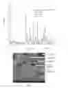 Fig. 09 - COMPOSITE MATERIAL HAVING AN ALUMINOSILICATE MATRIX, IN PARTICULAR MADE FROM BARIUM ALUMINOSILICATE (BAS) REINFORCED WITH METAL OXIDE REINFORCEMENTS, AND METHOD FOR PREPARING SAME