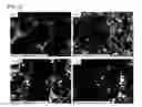 Fig. 03 - METHOD FOR CONTROLLING CHARACTERISTICS OF CERAMIC CARBON COMPOSITE, AND CERAMIC CARBON COMPOSITE
