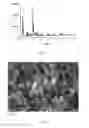 Fig. 02 - Process for hydroxylation of aromatic compounds, hydroxylation catalyst and process for preparing same