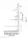 Fig. 08 - Solid state forms of tapentadol salts